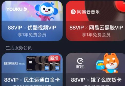 88vip��Ա��ô��ͨ