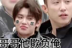 梗 内娱显眼包是什么意思
