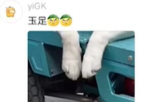 ������ʲô��