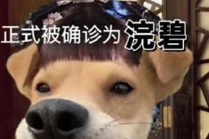 ����ʽȷ��Ϊxx��ʲô��