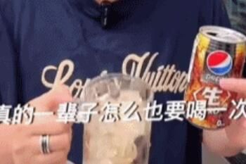 �ձ���������ʲô�� �ձ������ֱ���ʲô��˼