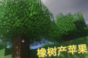 ţ��MC�Ҳ�����ʲô��