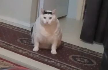 huhè�ֽб����ͼƬ��ȫ����