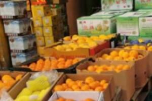 �人���Ϲ�Ʒ�����г���������
